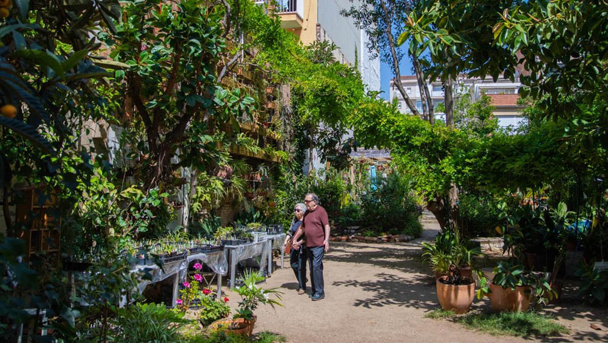 El Jardí del Silenci.