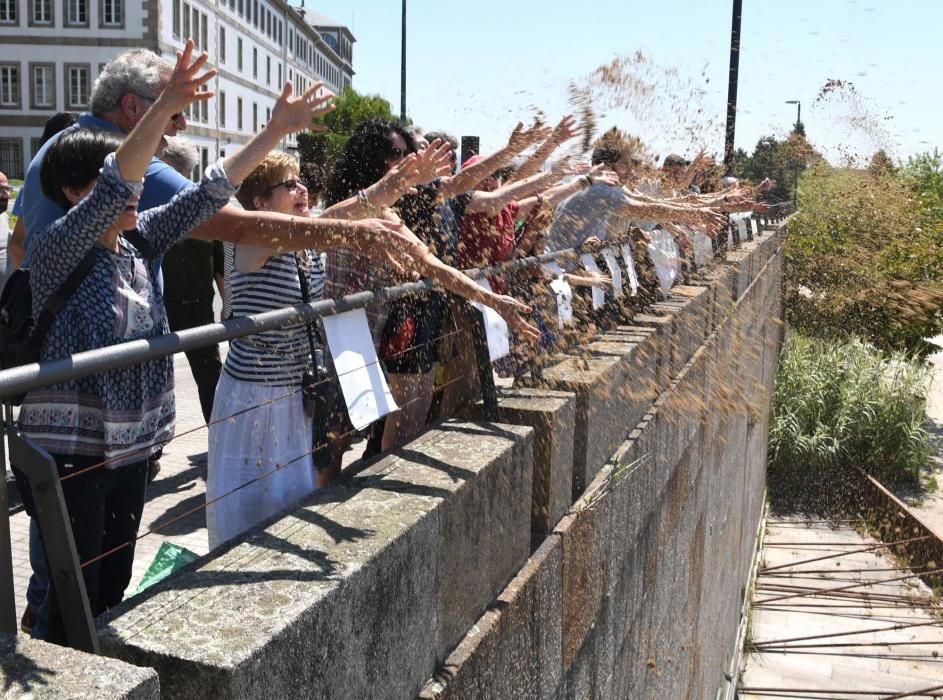 Las mejores imágenes de LA OPINIÓN A CORUÑA 2017