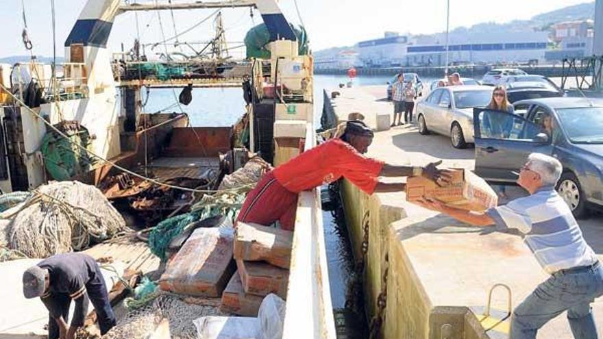 Marineros de uno de los cefalopoderos descargan el barco a su llegada al puerto de Marín.  // Gustavo Santos