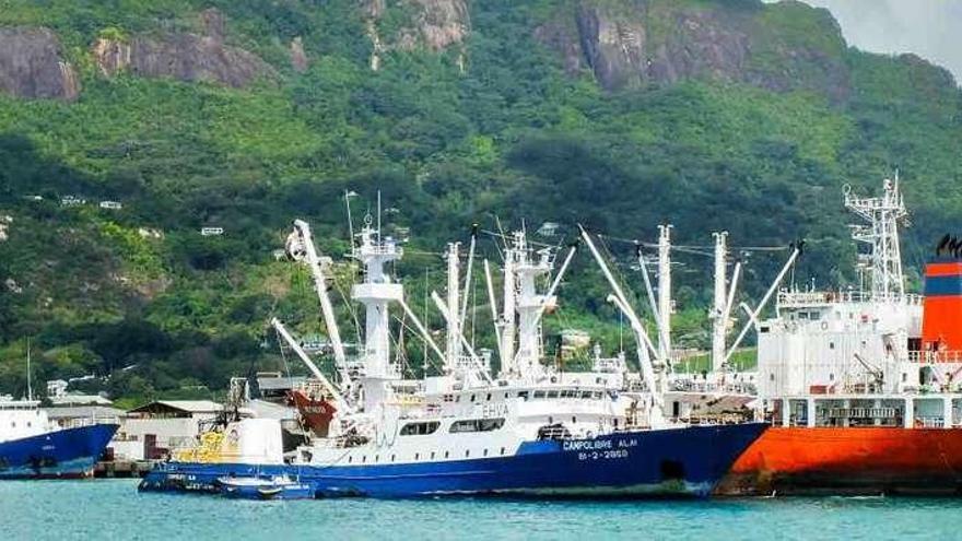 Un tercio de los atuneros reanuda la pesca en el Índico entre el rebrote de la piratería