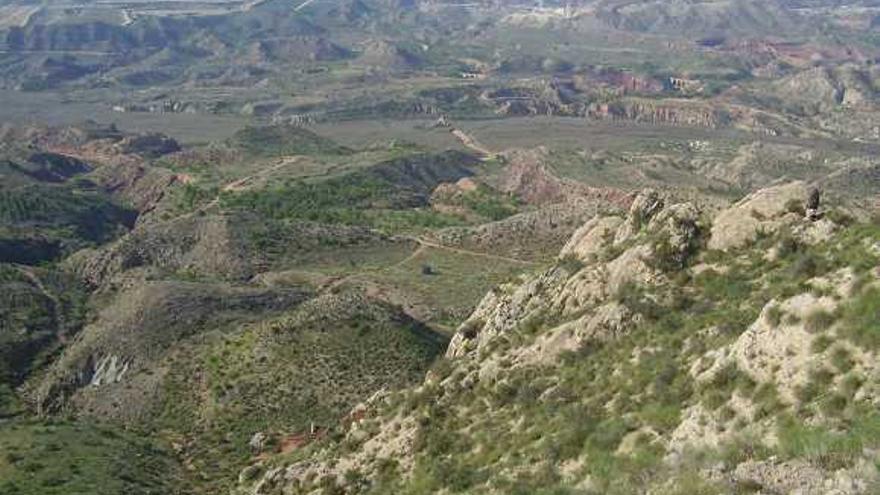 Vista de un regadío de Aspe regulado a través de la comunidad Virgen de las Nieves.