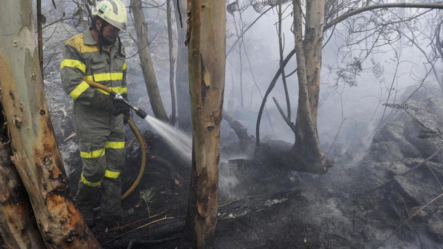 Un brigadista sofocando los restos de un incendio en Galicia. // F.M.