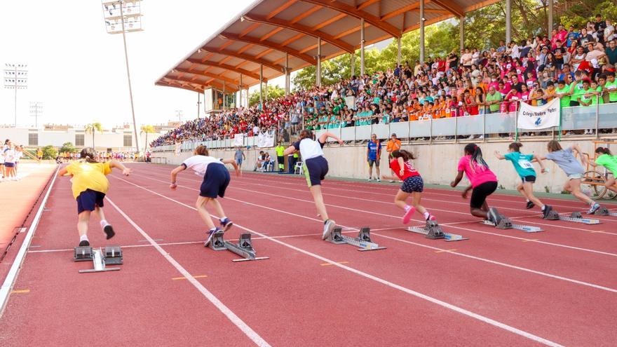 Torrent se prepara para las Miniolimpiadas Escolares los días 6 y 7 de junio