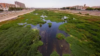Catalá anuncia que hará una limpieza urgente del nuevo cauce