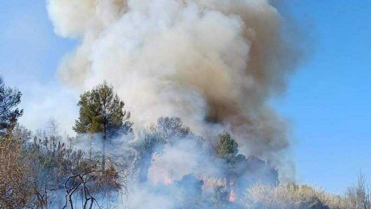 Incendio registrado este miércoles en Montroi.