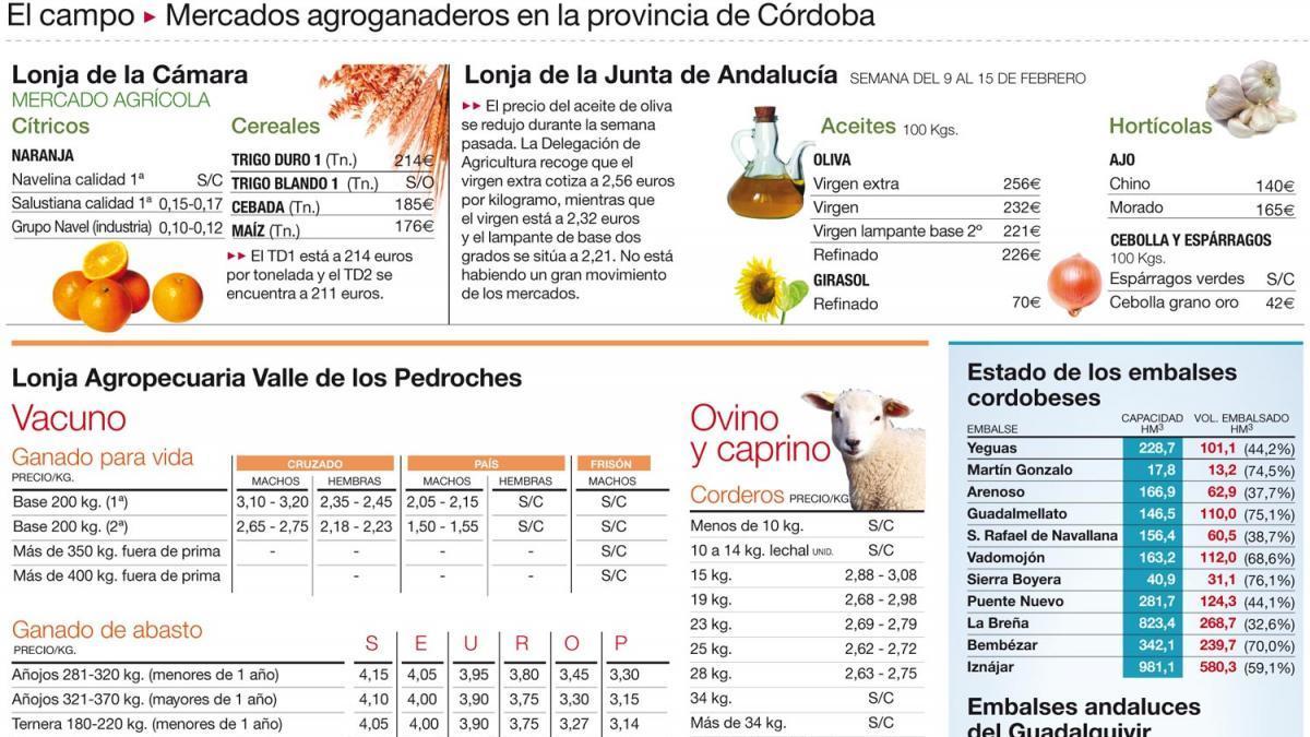 Iniciada la siembra del girasol y del garbanzo