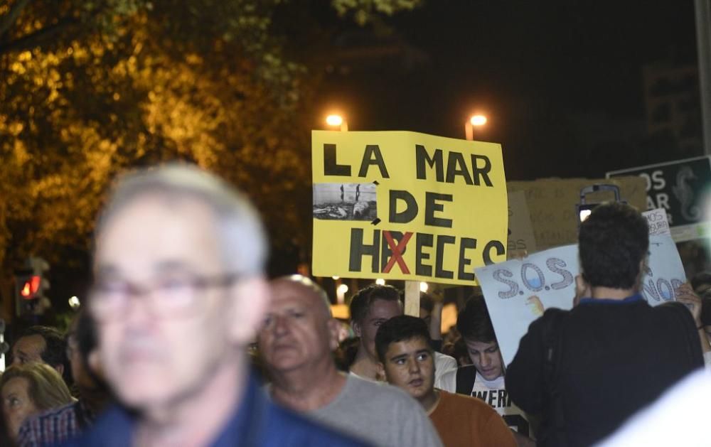 Manifestación en Cartagena: 55.000 personas claman por el Mar Menor (II)