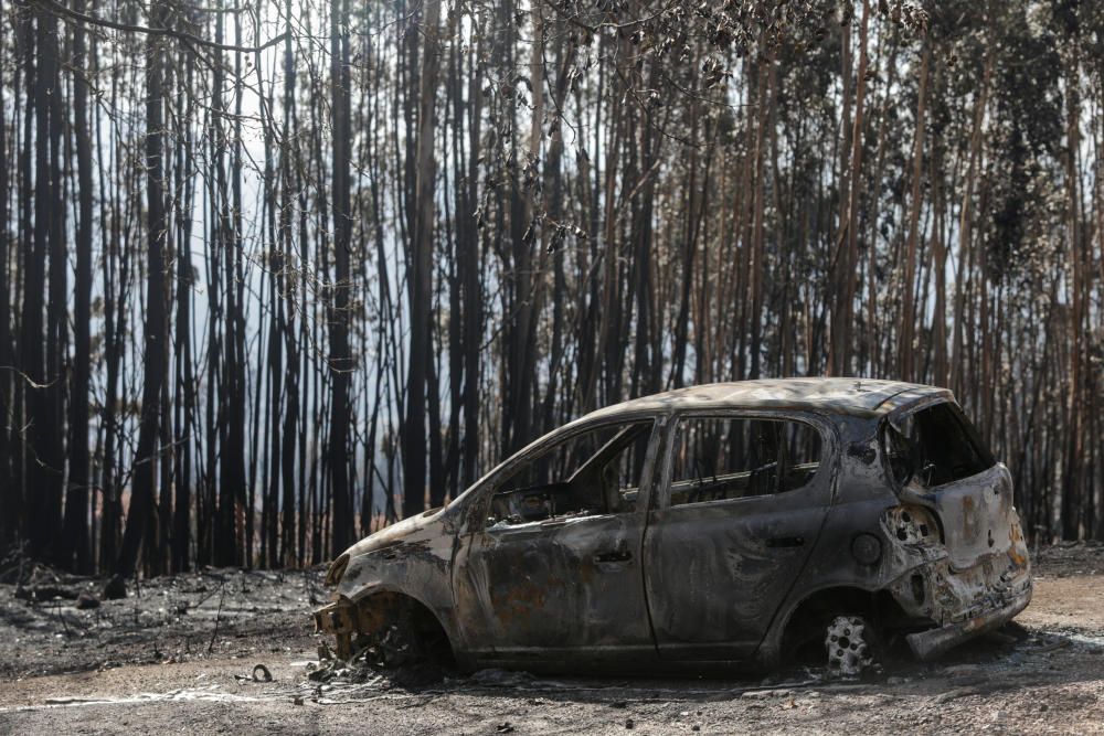 El terrorismo incendiario arrasa el Sur de Galicia