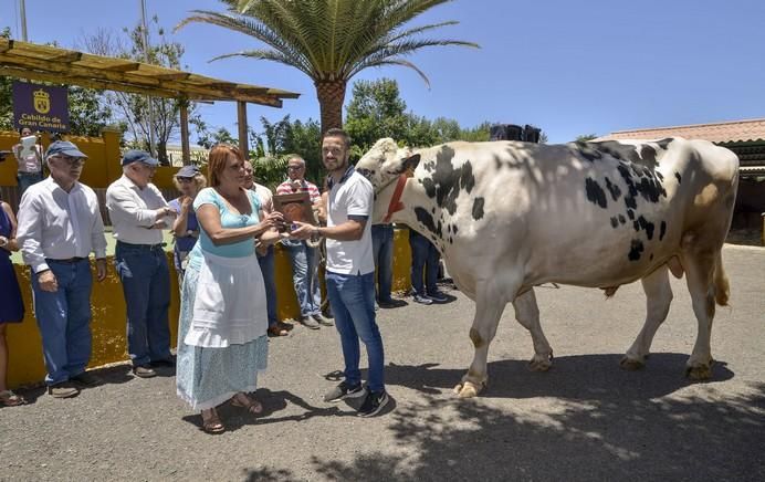 ARUCAS GRAN CANARIA A 28/05/2017 Entrega de premios concurso de ganado del Cabildo de Gran Canaria. FOTO: J.PÉREZ CURBELO