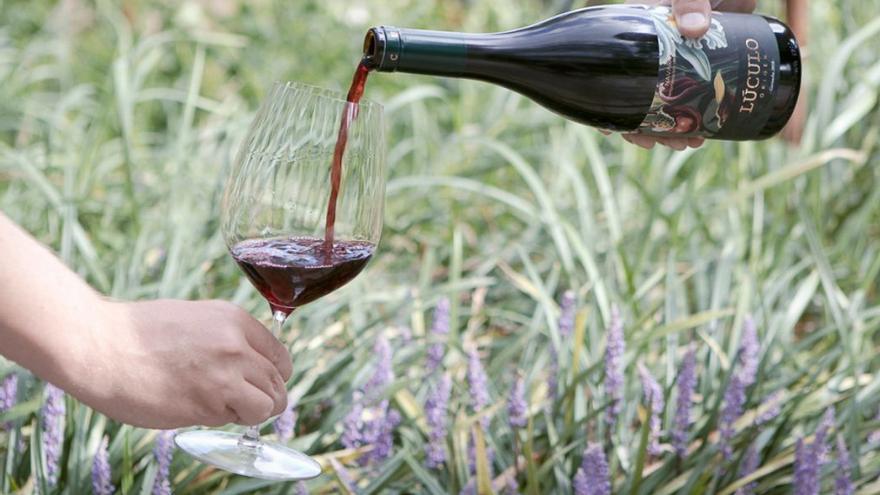 El Lúculo es un vino tinto navarro premium, agradable, dulce, fresco y vibrante.