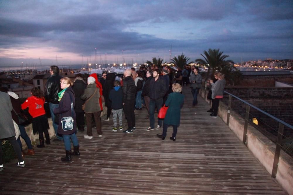 Más de 500 personas admiran el solsticio de invierno en la Seu