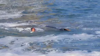 Si no lo leo no lo creo: Un hombre de A Coruña se lanza al agua para rescatar un contenedor