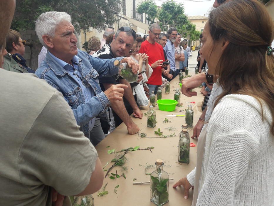 Binissalem rinde tributo a la piedra y la gastronomía