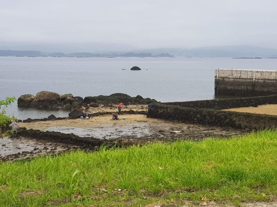 "Mareas vivas" en Galicia.