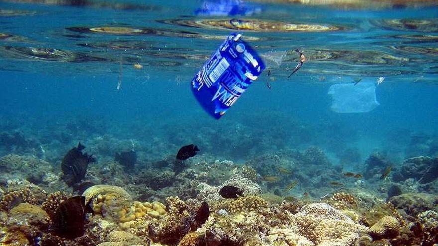 Residuos plásticos sobre los corales del mar Rojo, en Egipto.