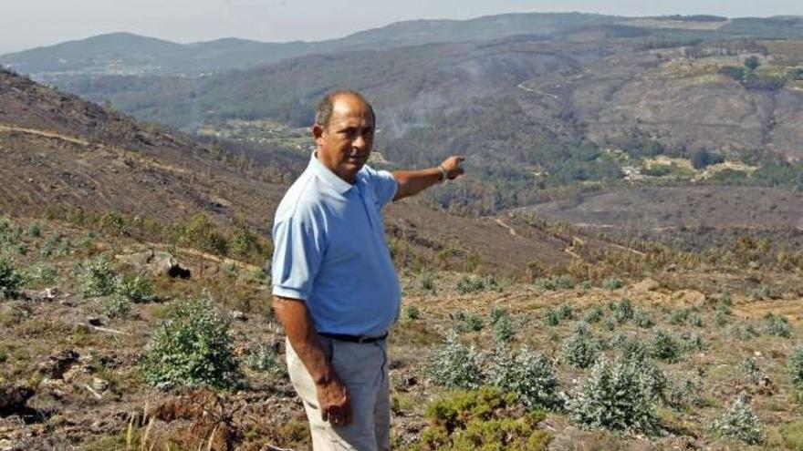 Devastación por el incendio forestal en Oia, O Rosal y Tomiño.  // Ricardo Grobas