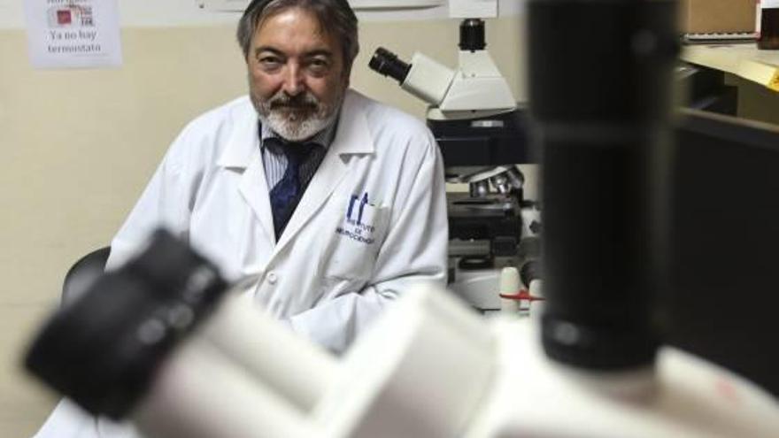 Salvador Martínez, director del Instituto de Neurociencias, la pasada semana en su laboratorio.