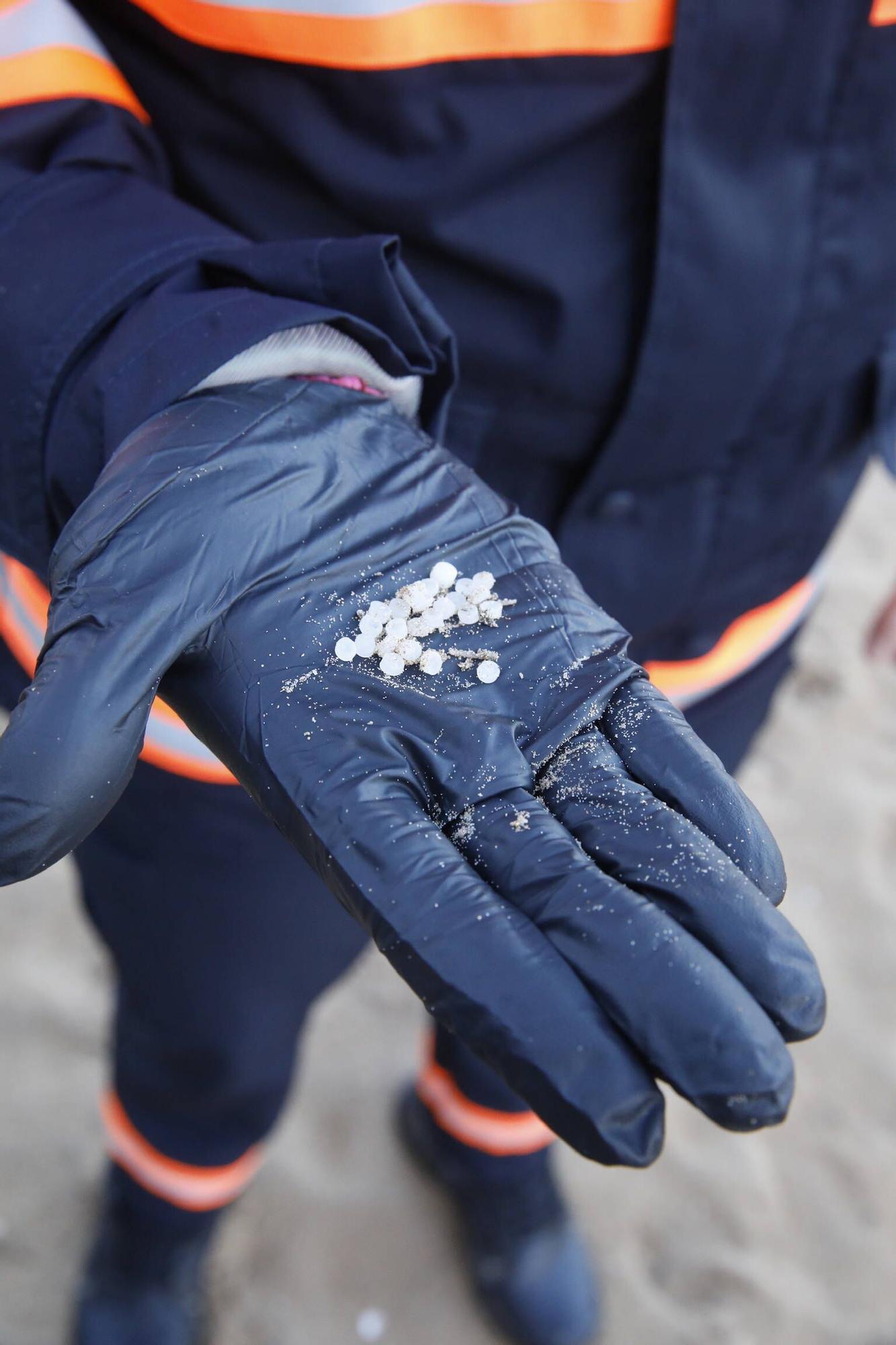 Así fue el dispositivo de limpieza y vigilancia de pellets en la playa de San Lorenzo (en imágenes)