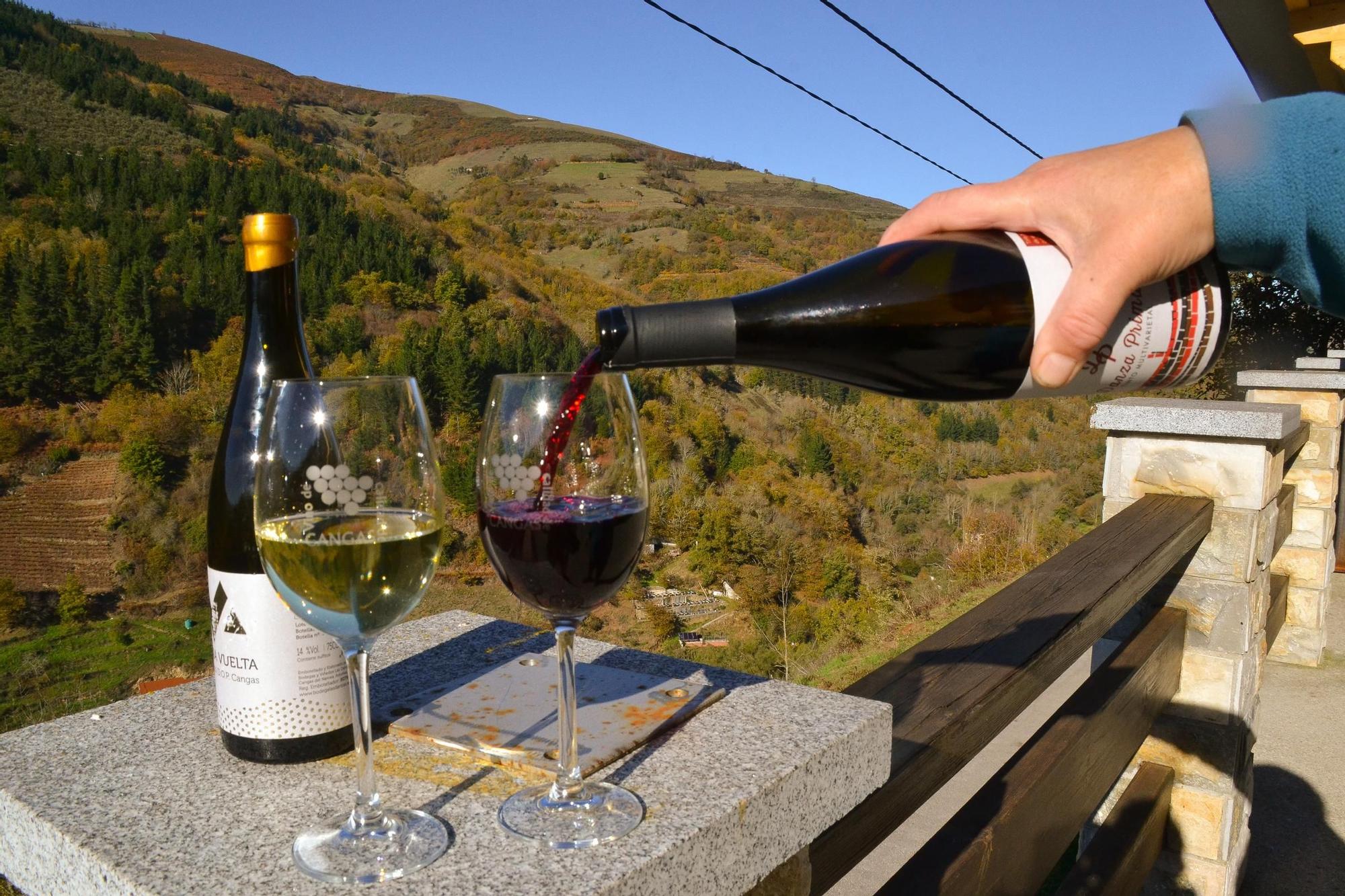 Carmen Martínez sirve sus vinos al sol de noviembre en Las Mestas.