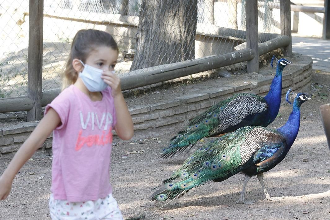 Reapertura del Zoológico tras el estado de alarma