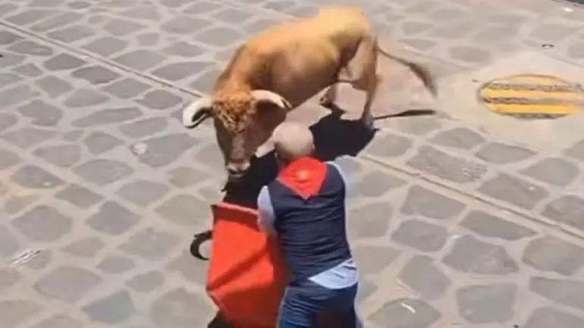 Toro embiste a valentonado en la llamada Xiqueñada