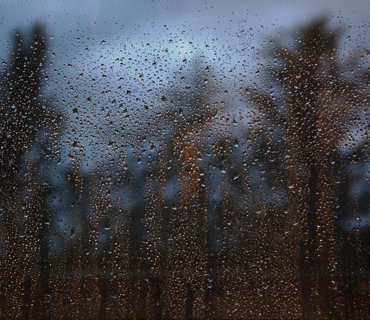 La fotografía reconocida. |Cedida