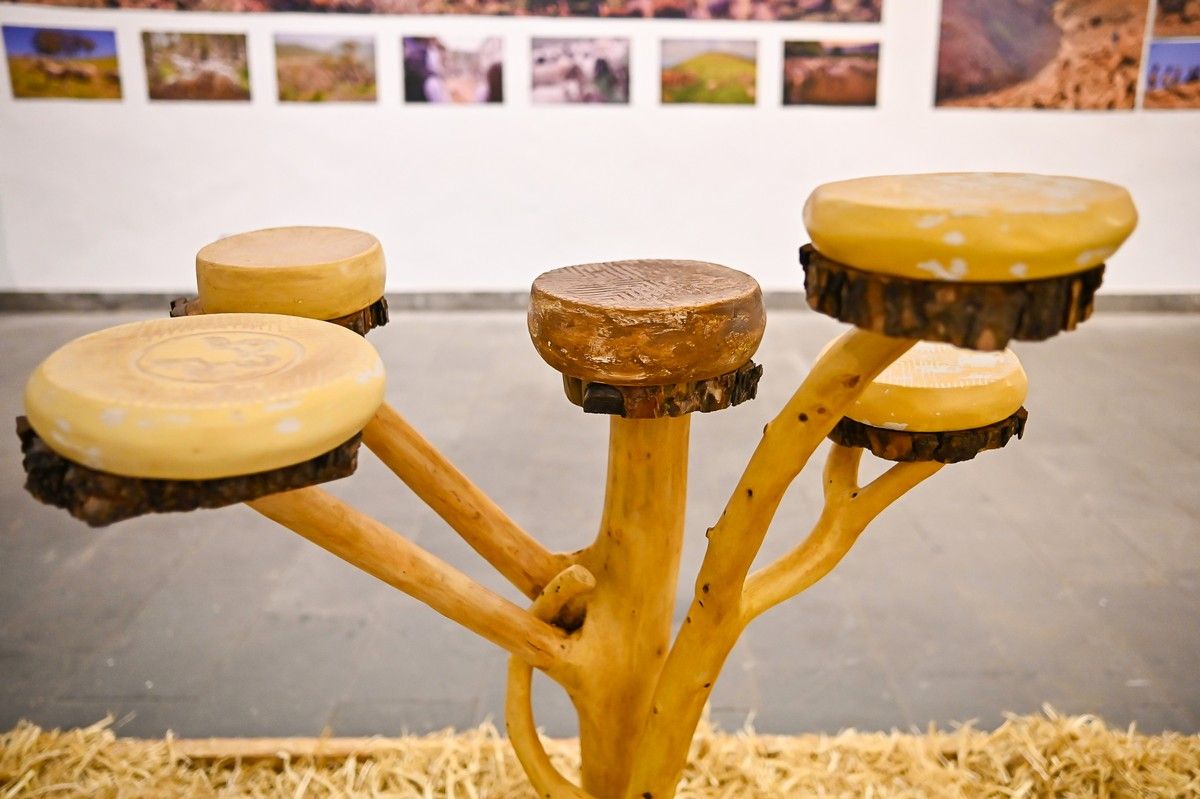 Exposición conjunta "Miradas al Queso"