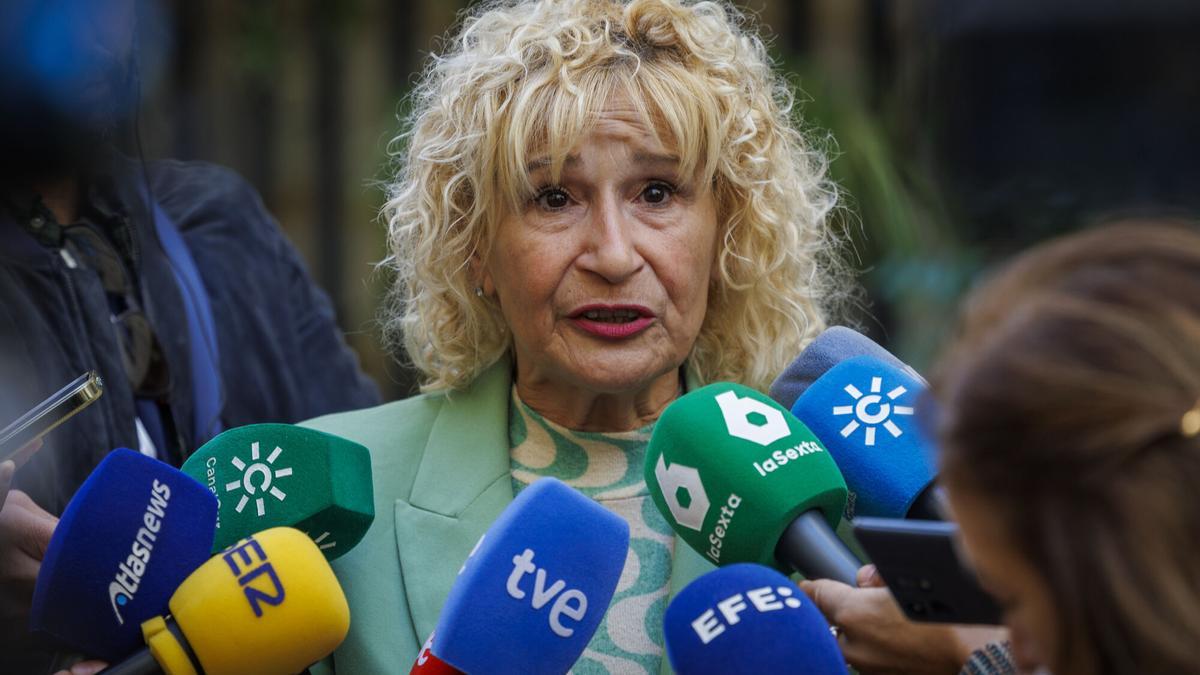 La presidenta de la asociación de mujeres con cáncer de mama, Amama, Ángela Claverol, en declaraciones a los periodistas este martes en la sede en Sevilla.
