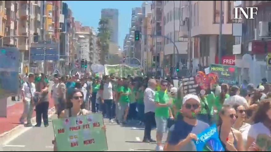 Huelga de profesores: la marea verde se dirige Dirección Territorial de Educación de Alicante