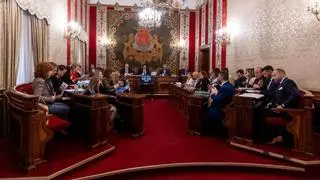 El pleno de Alicante, en directo: conflicto por la libertad de prensa