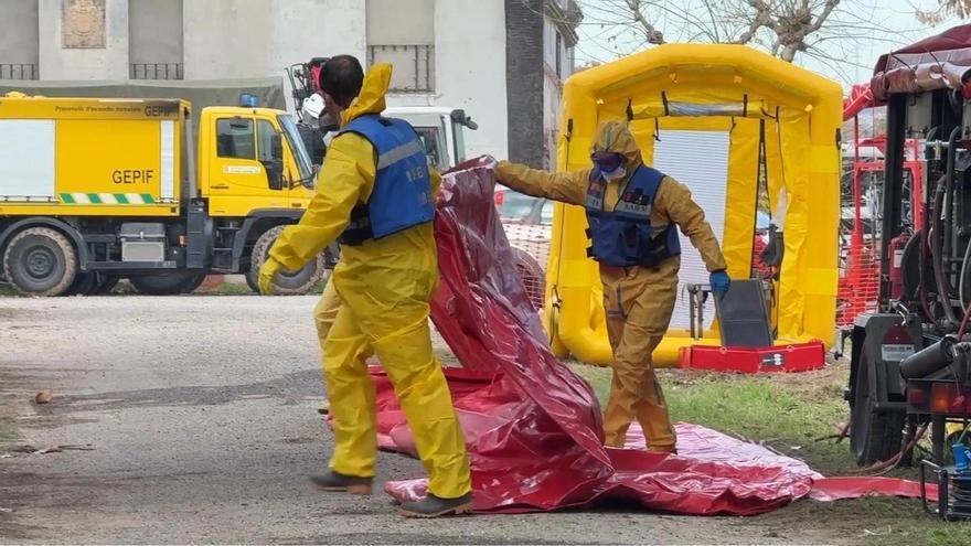 Els principals punts del pla de xoc contra la pesta porcina a Catalunya