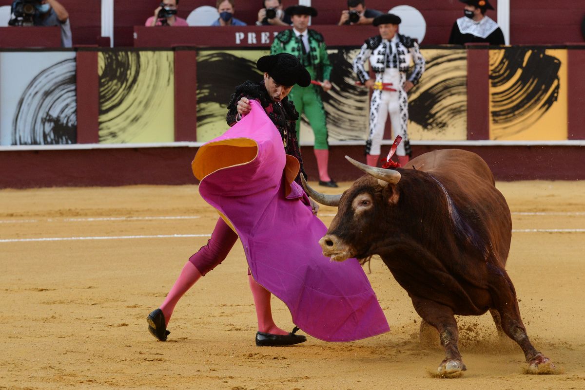 Los toros vuelven a La Malagueta