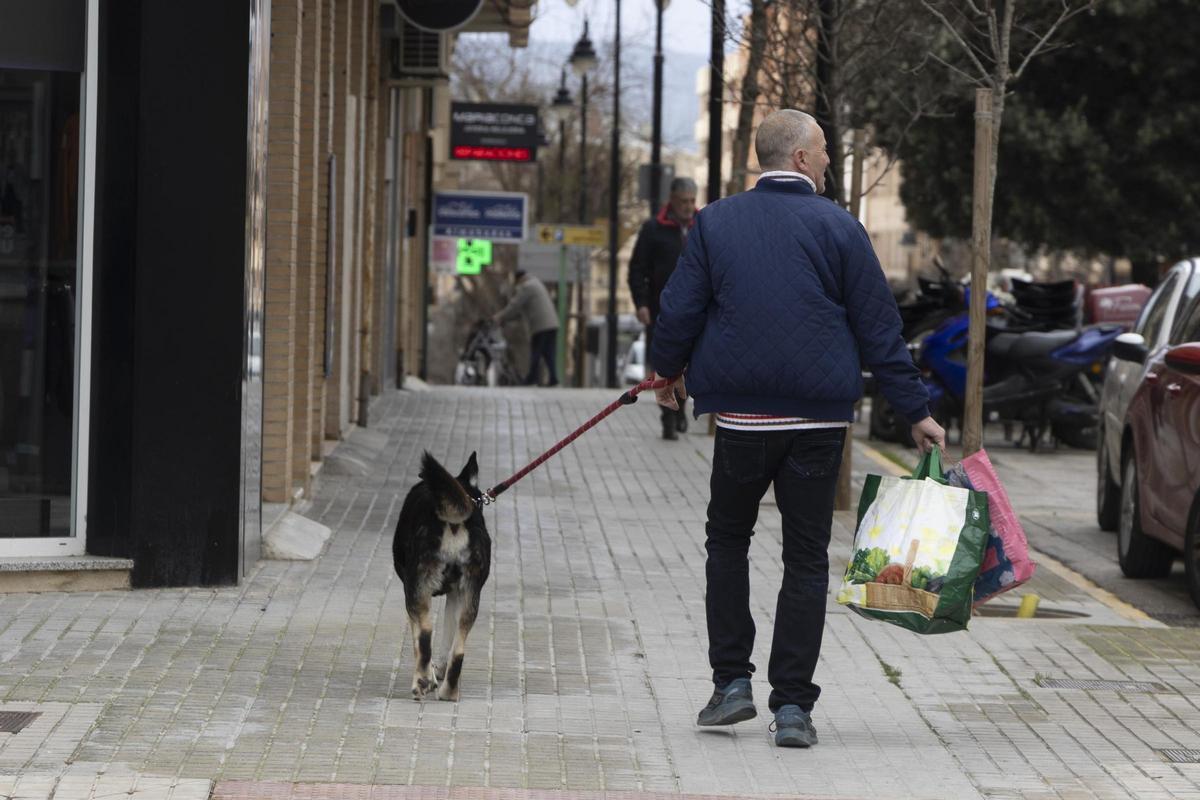 Más de 12.000 mascotas en Ontinyent Más de 12.000 mascotas en Ontinyent