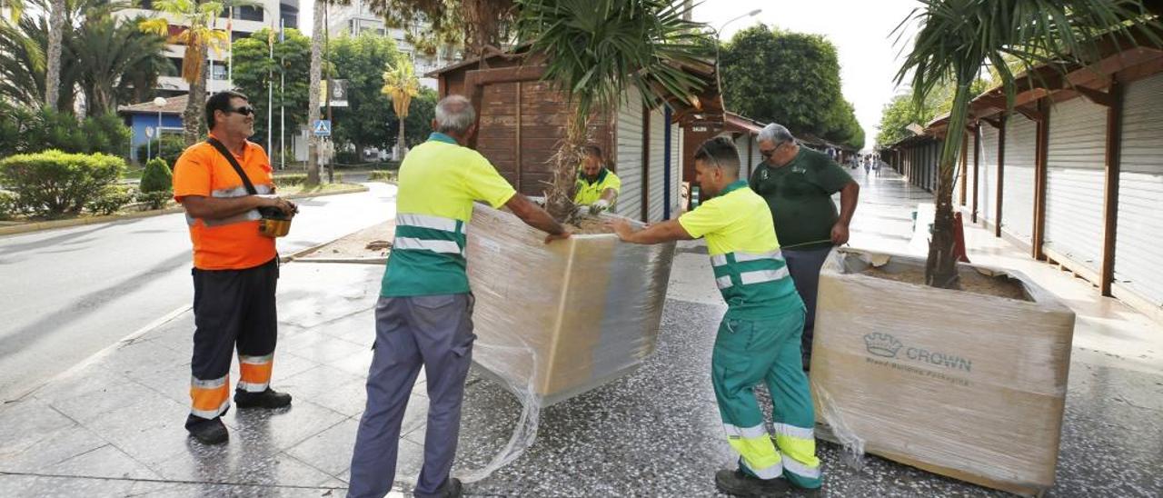 Operarios colocando ayer los enormes maceteros a la entrada de los paseos de la ciudad.