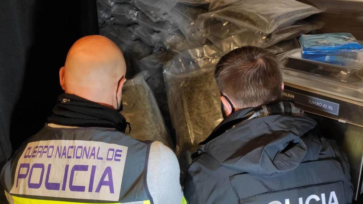 En l&#039;operació Delos han treballat de manera coordinada agents dels Mossos d&#039;Esquadra, de la Guàrdia Civil i de la Policia Nacional.