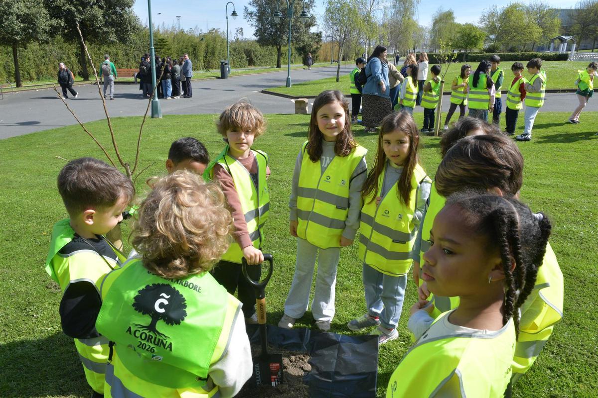 Alumnos del colegio Sal Lence plantaron 40 nuevos árboles en el parque de San Diego