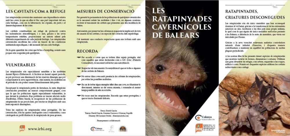 Tríptico sobre las siete especies de murciélagos cavernícolas de Baleares