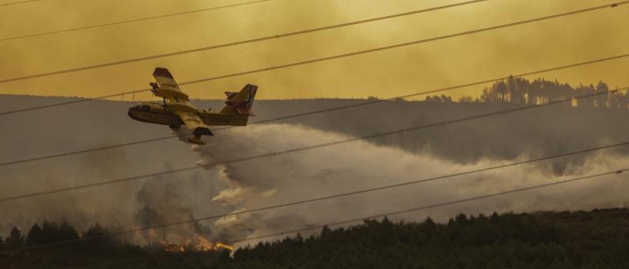 Medios aéreos en el incendio del Xurés, ya extinguido.   | // B. LORENZO