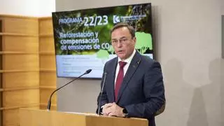 La Diputación de Córdoba invierte 168.000 euros en reforestar varias fincas