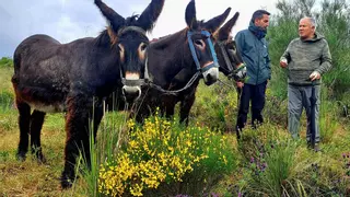 Arribes del Duero: movimientos en defensa de un patrimonio "frágil"