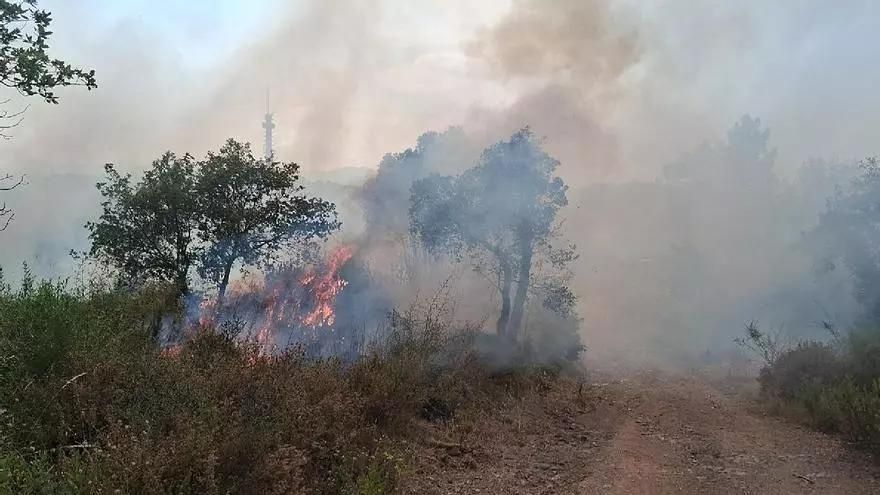 El PSC de Girona denuncia la inacció de l&#039;Ajuntament en la prevenció d’incendis