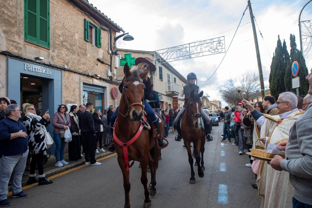 Beneïdes en Pòrtol.