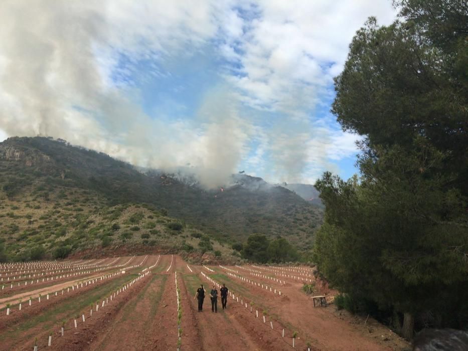 Incendio forestal en Benifairó de les Valls.