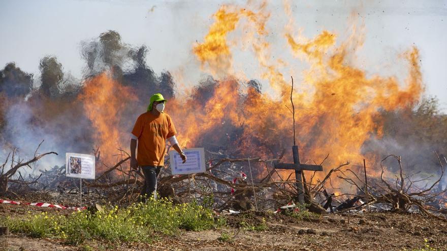 El Botànic esquiva la ley estatal para que los restos agrícolas puedan quemarse y no se consideren residuos