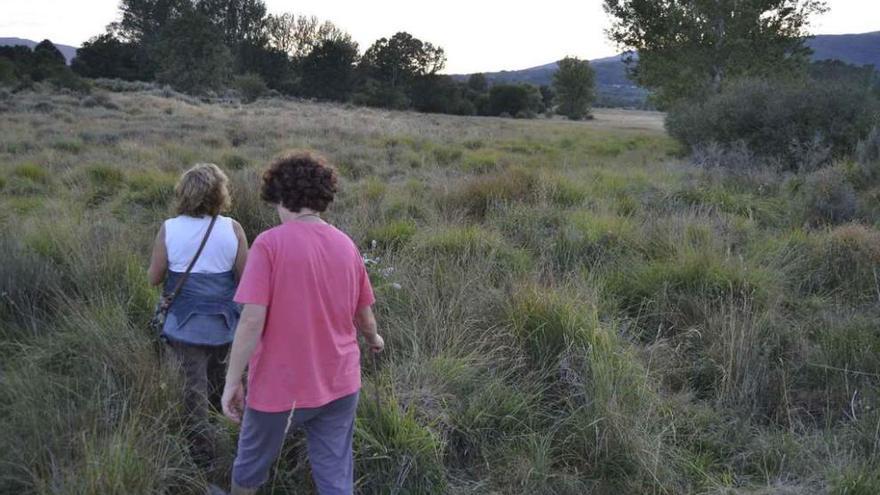 Dos mujeres buscan setas en San Martín del Terroso, municipio de Cobreros.