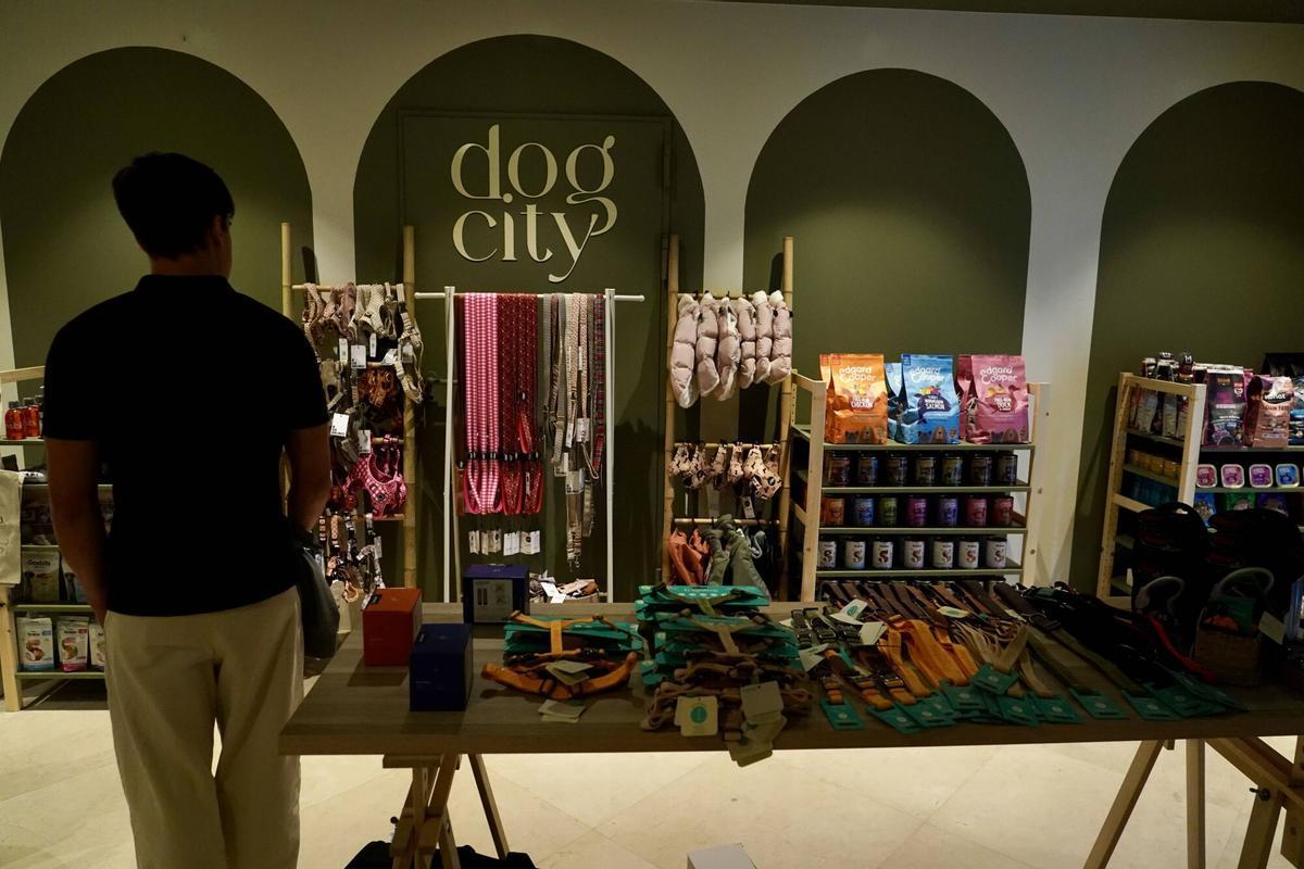 Dog City: el primer hotel para perros abre sus puertas en Málaga