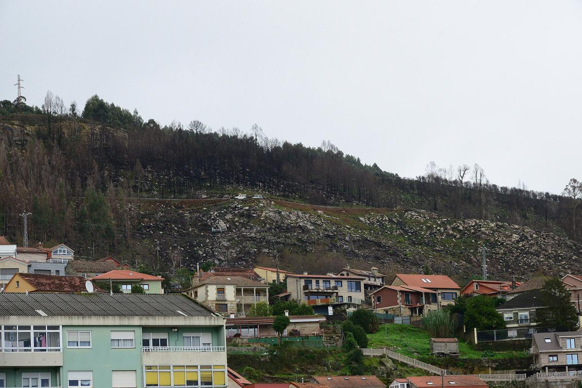 Vista de la zona de trabajo de reforestación desde la carretera PO-551 en Meira.