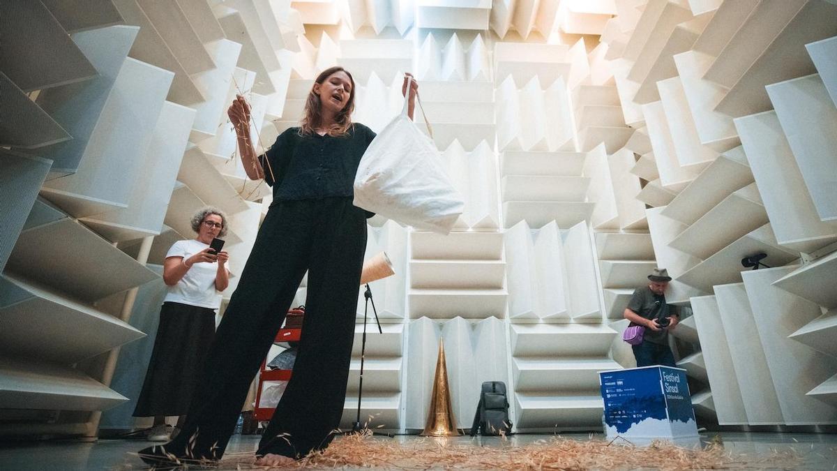 O Festival SON Estrella Galicia Sinsal comeza na cámara semianecoica da Universidade de Vigo co concerto acústico de Carmen López.