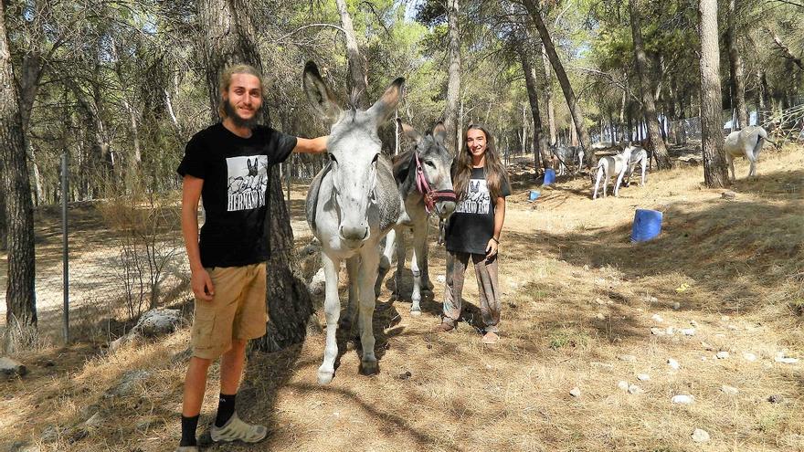 Una familia nómada recala en Rute