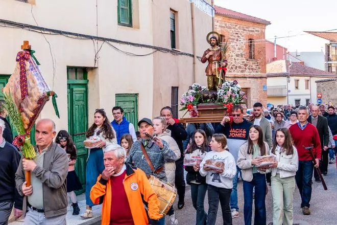 GALERÍA | Tábara revive la rogativa y el “Ramo de San Isidro”
